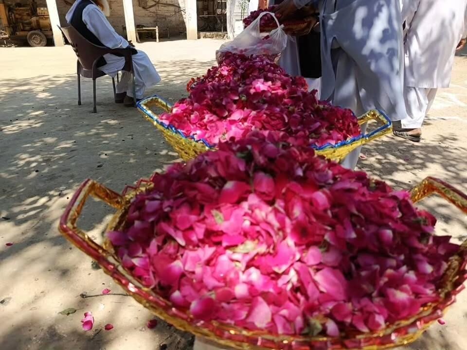 Instagram post from chura_shareef. This post is in position 2.